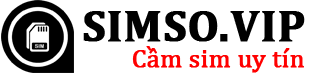 Simso.vip Logo